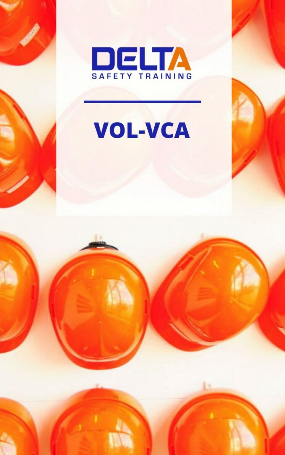 VCA Proefexamens - DELTA Safety Training